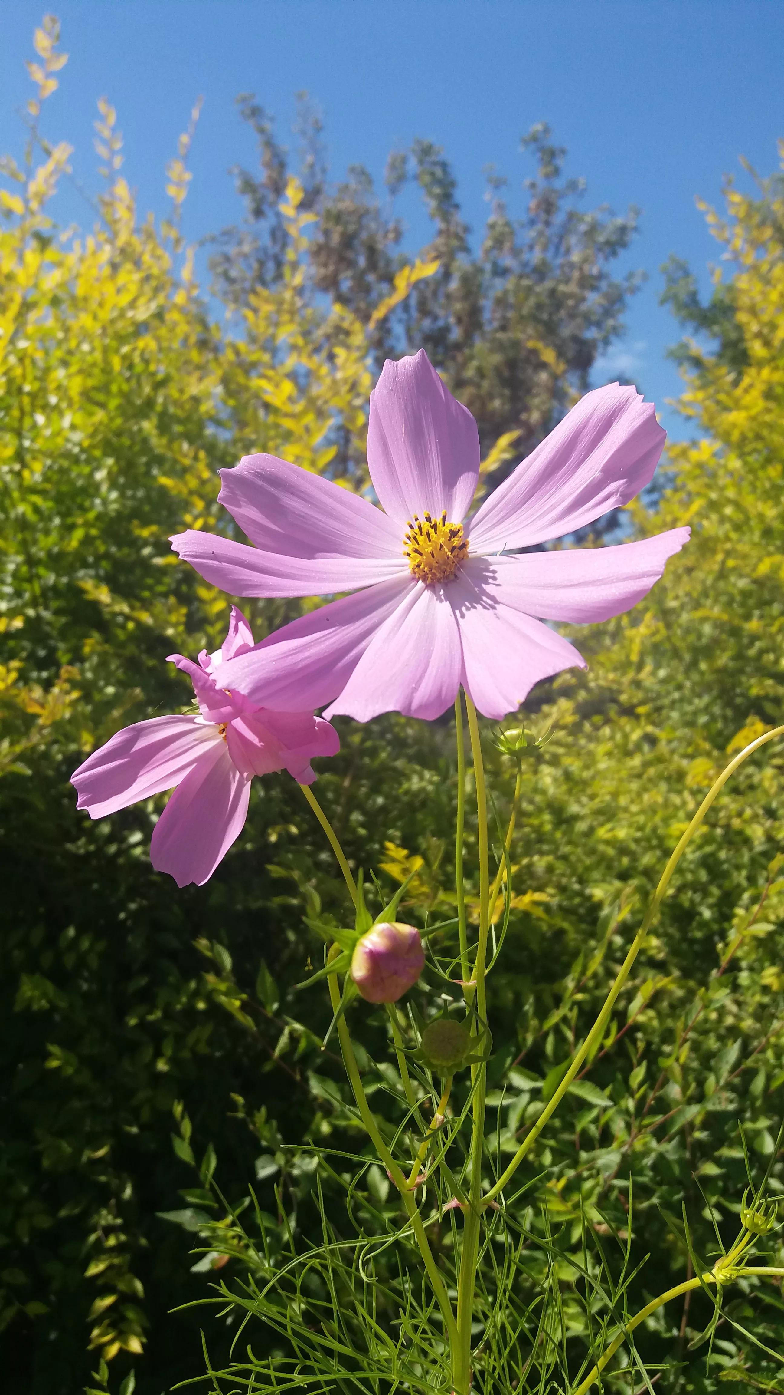 最近新闻大事件回顾,2021年9月,2021年9月大事件回顾,最新新闻盘点