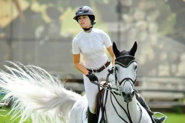 揭秘刘伯温四肖选一码的图片,历史、神秘与信仰的交织,刘伯温四肖选一码揭秘,历史、神秘与信仰的交融之图揭秘