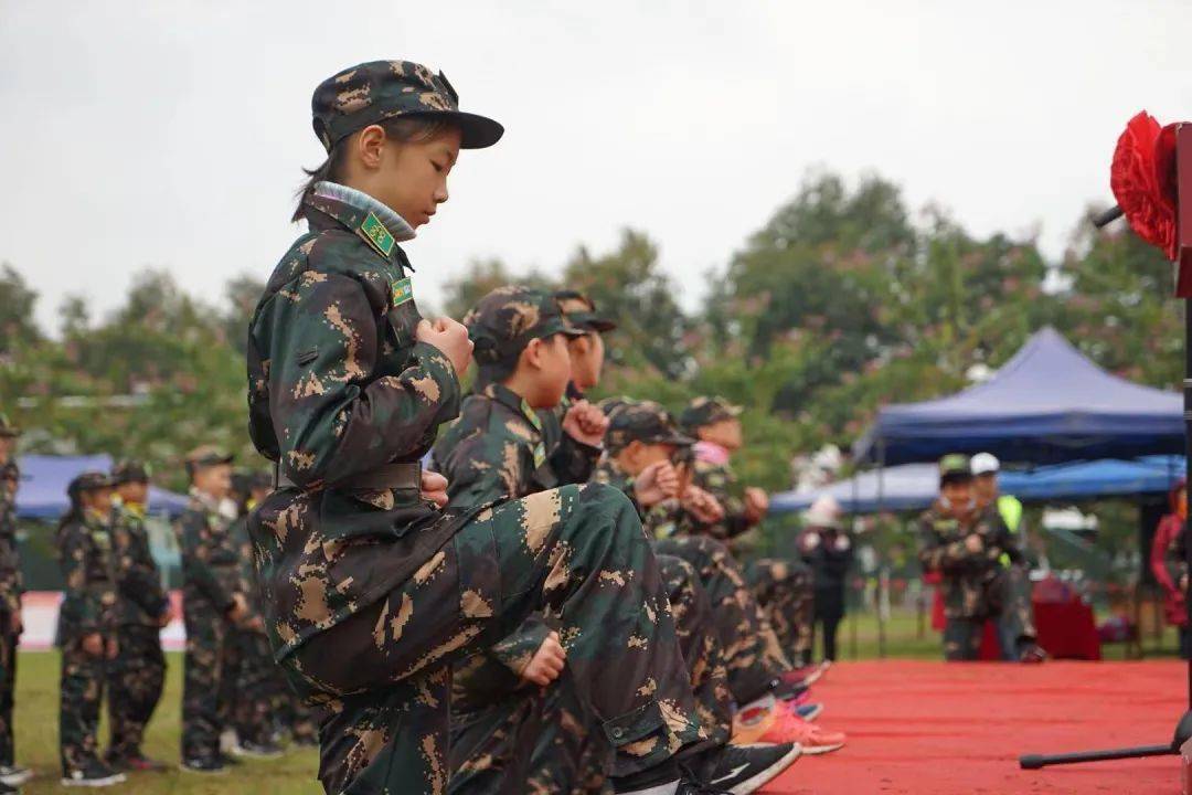 国防军事全集,深度解析与综述,国防军事全集,深度解析与全面综述