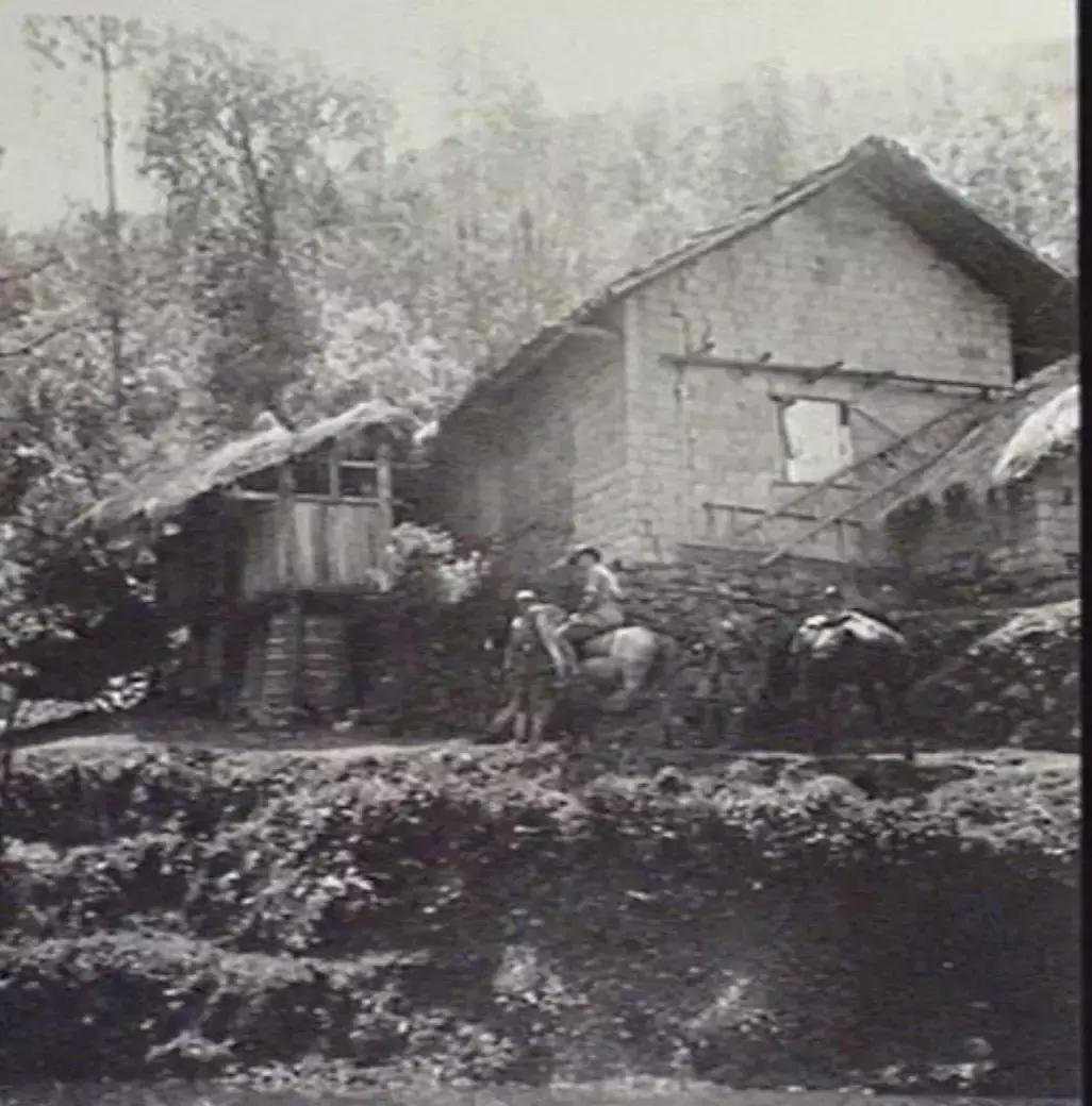 裤裆藏雷再爽一次,一场超越极限的挑战与激情释放,裤裆藏雷,超越极限的挑战与激情释放之旅