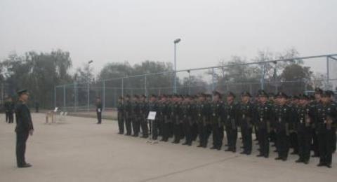 志愿兵与士官的区别,军队中的不同角色与职责,志愿兵与士官差异解析,军队中的不同角色与职责概述