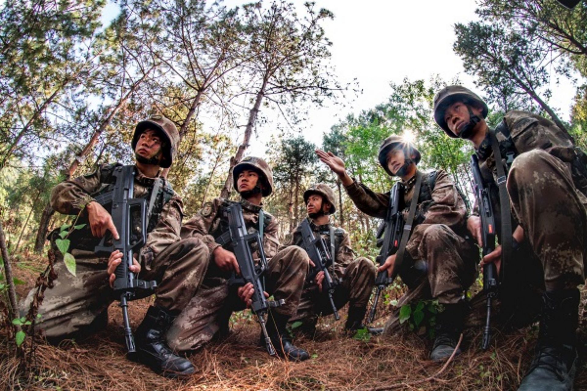 标准作战小队人数探究,几人构成最佳?,标准作战小队人数解析,最佳构成几人?