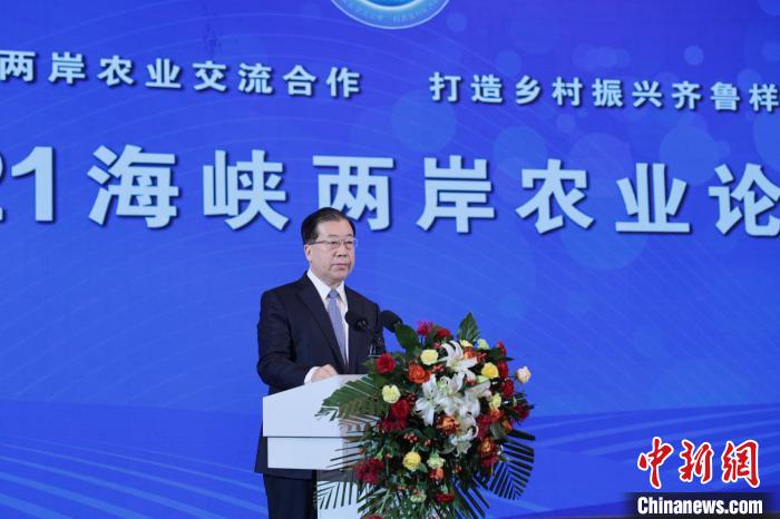 陈凤馨与海峡两岸的情缘，陈凤馨与两岸情缘深度解析