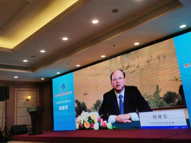 陈凤馨与海峡两岸的情缘,陈凤馨与两岸情缘深度解析