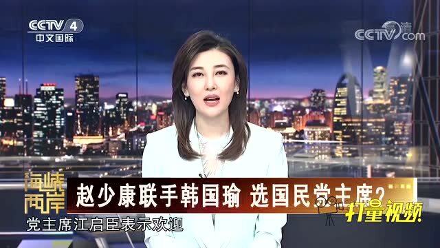 陈凤馨与海峡两岸的情缘,陈凤馨与两岸情缘深度解析