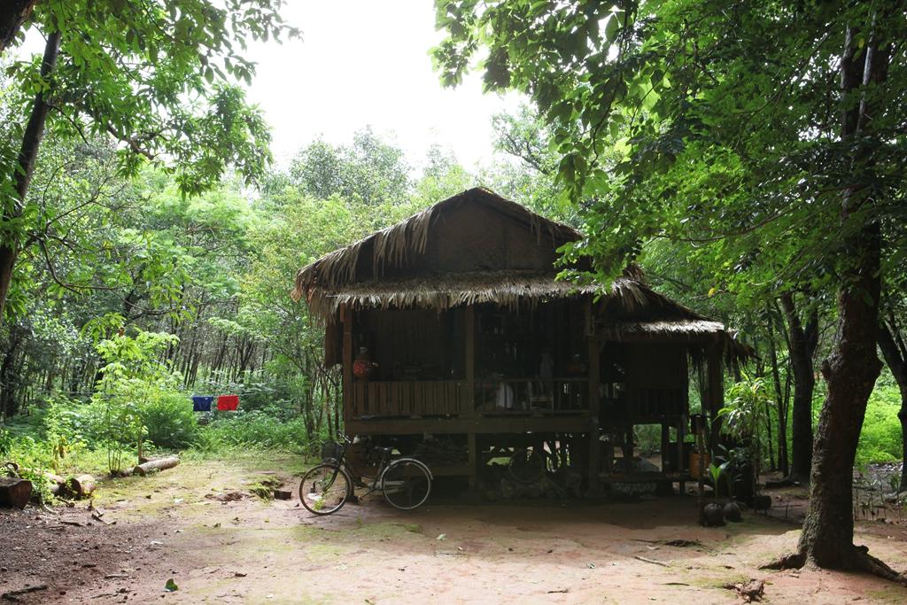 缅甸远征军记实，英勇之旅与深刻的历史印记，缅甸远征军，英勇之旅与历史的深刻印记