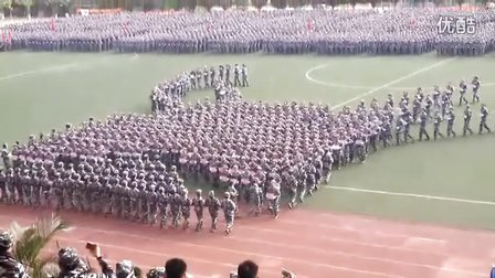 全球军事动态深度解析