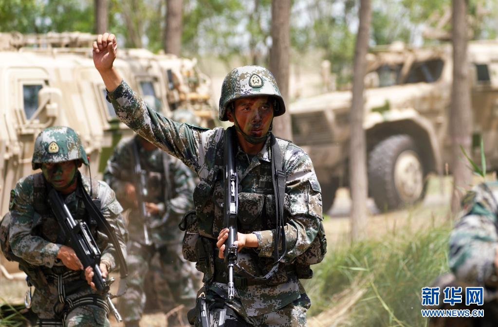 中国特战旅的名称与力量,中国特战旅的力量与名称揭秘